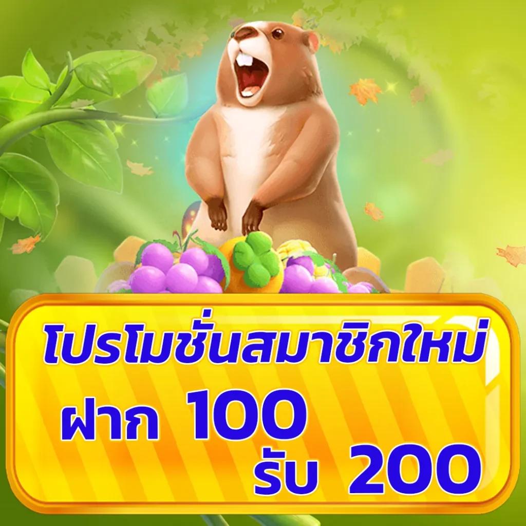 rich เว็บตรง สล็อต ฝากถอนออโต้ ไม่ผ่านเอเย่นต์ 2026